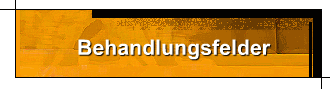 Behandlungsfelder