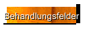 Behandlungsfelder
